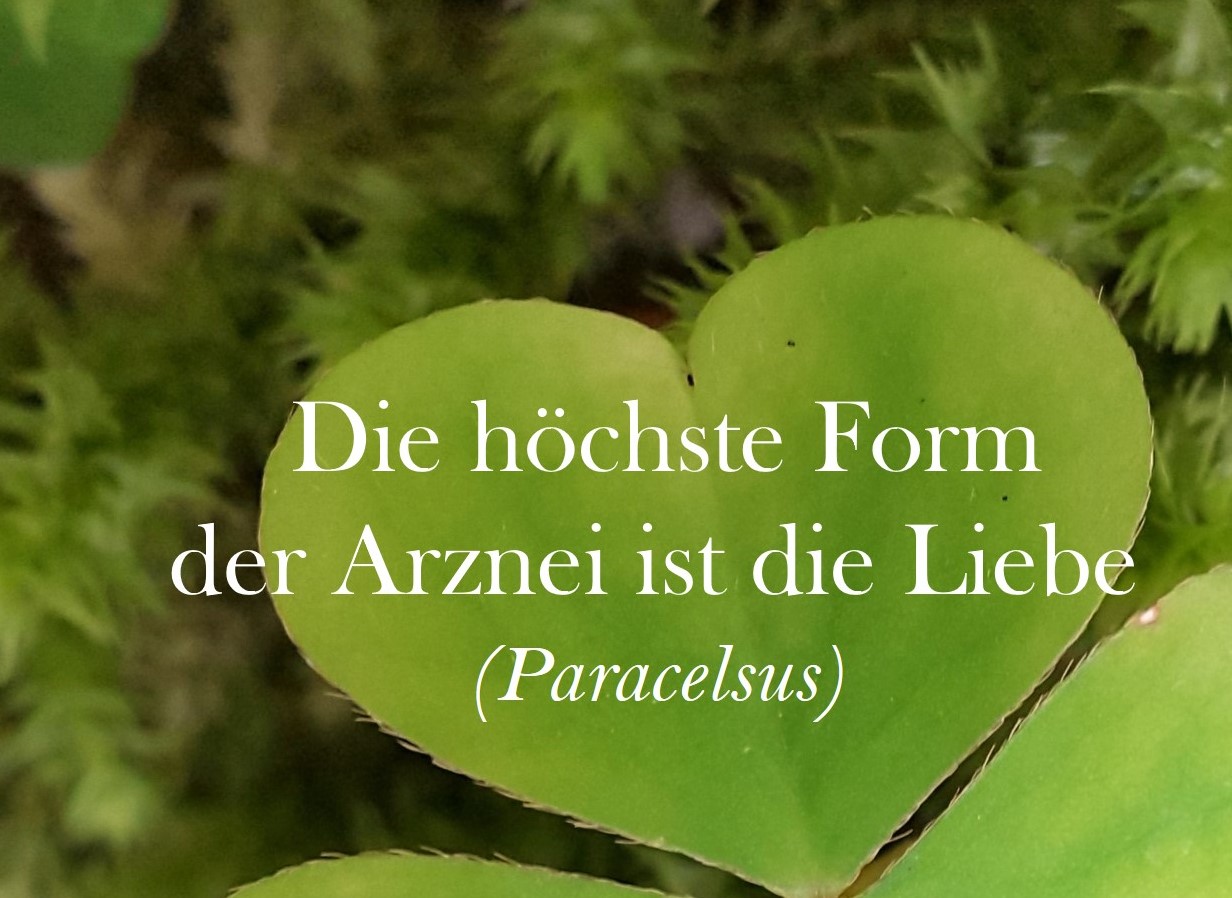 Liebe Arznei fb