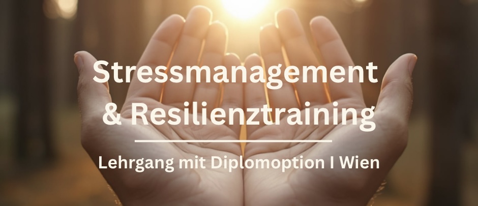 HEader Ausbildungsstruktur 4