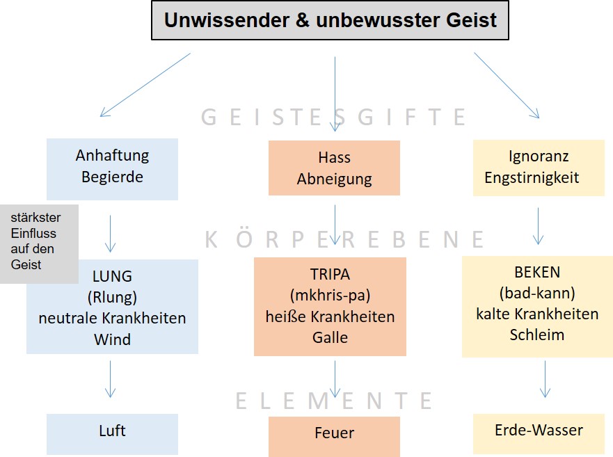 TTMGRAFIK