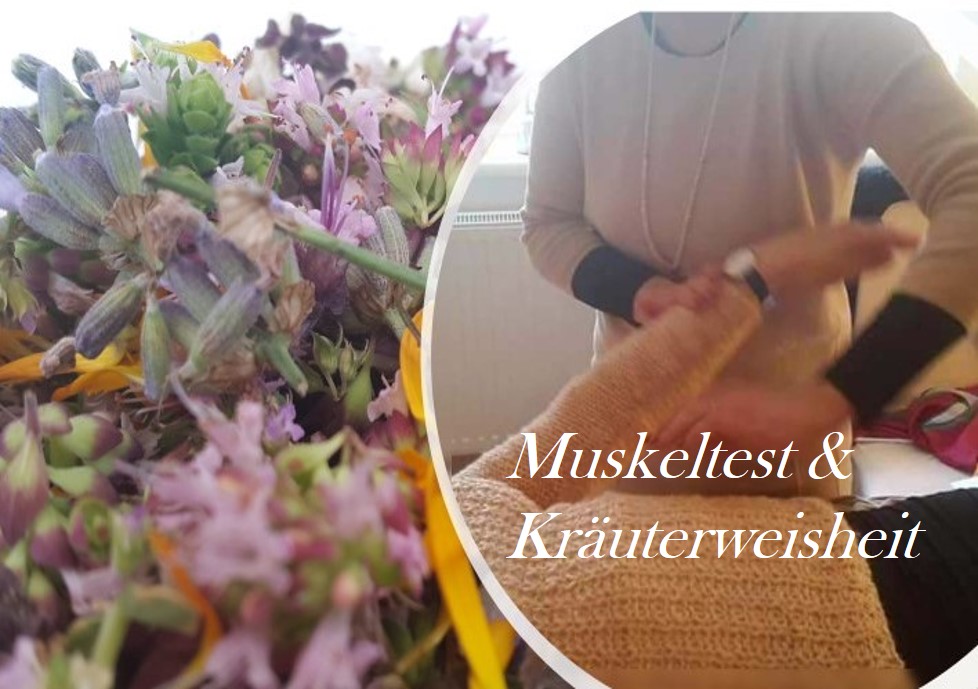 Muskeltest Kräuter